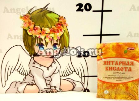 фото Янтарная кислота порошок 10 гр от магазина магазина орхидей Ангелок