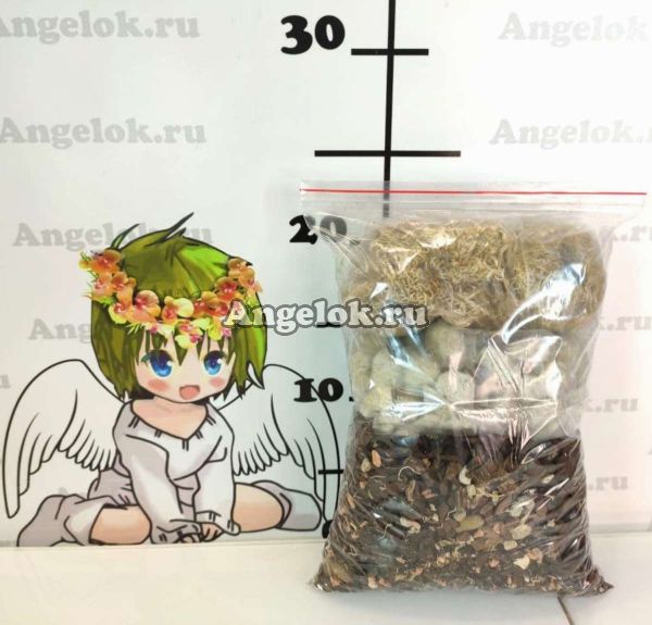 фото Грунт для каттлей "Ангелок" 1л от магазина магазина орхидей Ангелок