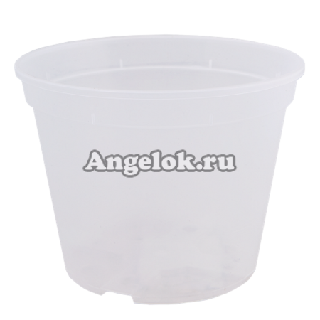 фото Горшок для орхидей (прозрачный) d-12 белый от магазина магазина орхидей Ангелок