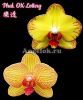 фото Фаленопсис (Phalaenopsis OX Lottery) Тайвань от магазина магазина орхидей Ангелок