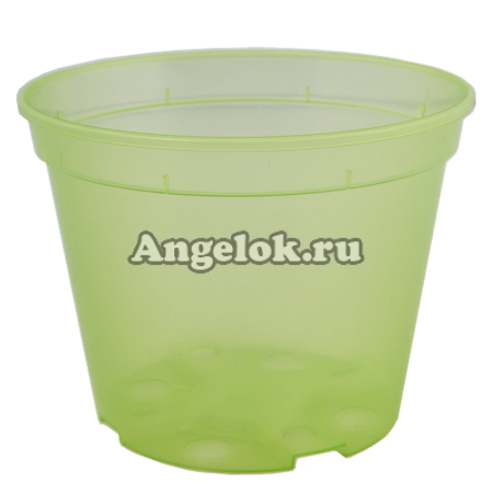 фото Горшок для орхидей (прозрачный) d-16 зеленый от магазина магазина орхидей Ангелок