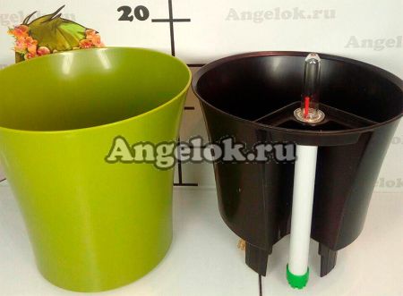 фото Кашпо с автополивом Комфорт круглое оливковое от магазина магазина орхидей Ангелок