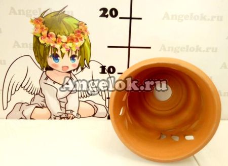 фото Горшок для орхидей глина d-13 от магазина магазина орхидей Ангелок