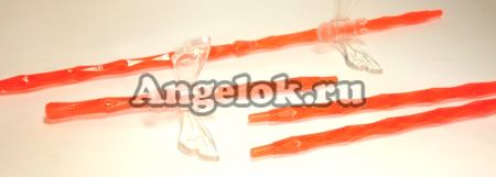 фото Опора пластиковая для орхидей Диамант оранжевая от магазина магазина орхидей Ангелок