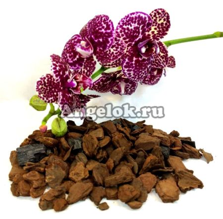 фото Грунт для фаленопсисов "Ангелок" 1л от магазина магазина орхидей Ангелок