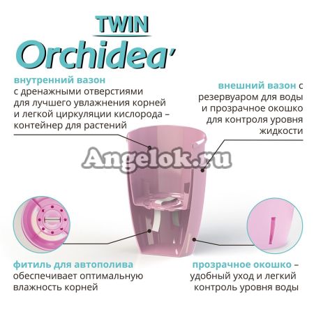 фото Вазон Орхидея Твин прозрачный 2 л от магазина магазина орхидей Ангелок