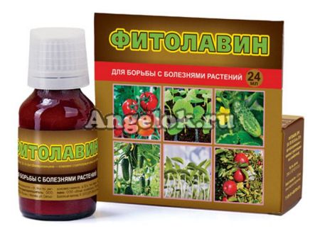 фото Фитолавин 24 мл от магазина магазина орхидей Ангелок