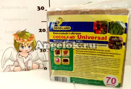 фото Кокосовый торф (Cocoland Universal) брикет 70л от магазина магазина орхидей Ангелок
