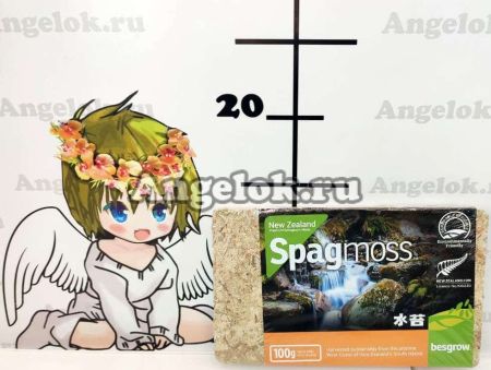 фото Мох Спагмосс Spagmoss Classic - прессованный 100г от магазина магазина орхидей Ангелок