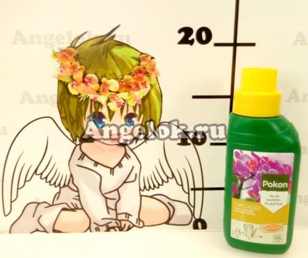 фото Удобрение для орхидей Покон (Pokon) 250мл от магазина магазина орхидей Ангелок