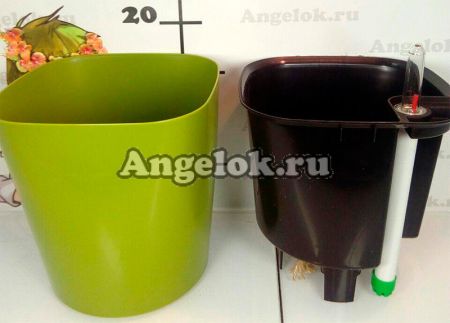 фото Кашпо с автополивом Комфорт оливковый от магазина магазина орхидей Ангелок