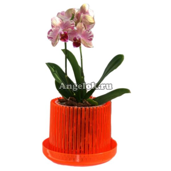 Горшок для орхидей Корона d-13 оранжевый