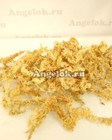 фото Мох Спагмосс Spagmoss Premier - прессованный 240л от магазина магазина орхидей Ангелок