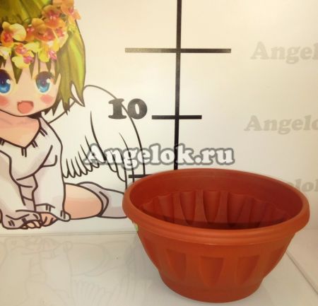 фото Горшок Жанна с поддоном d-12 коричневый от магазина магазина орхидей Ангелок